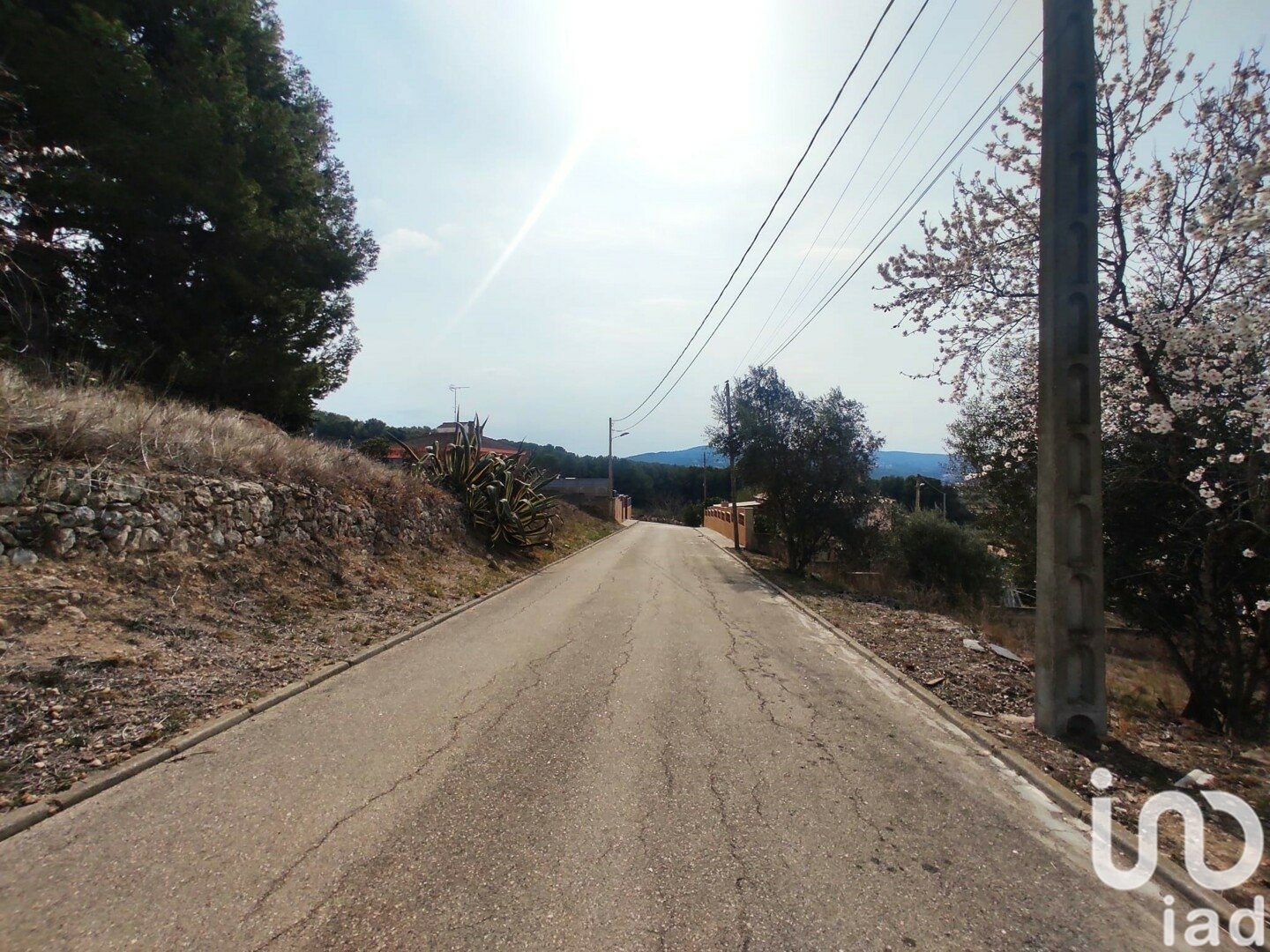 Tomt i La Bisbal Del Penedes, Tarragona, Spanien 530 kvm. Nr. 186177