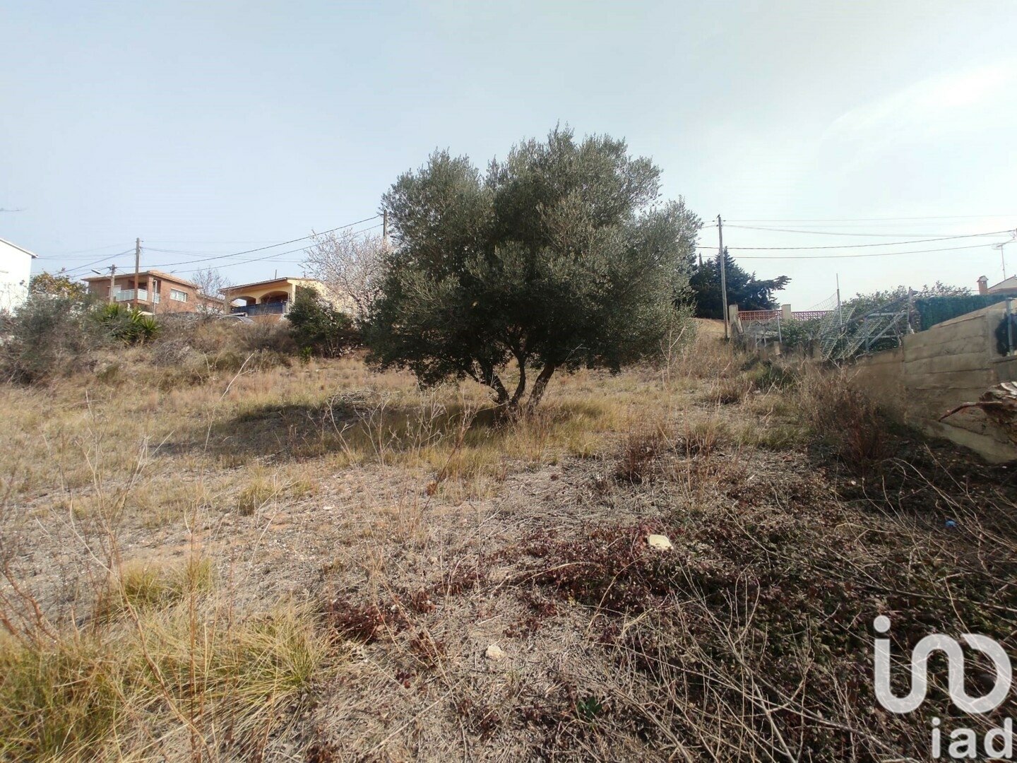 Tomt i La Bisbal Del Penedes, Tarragona, Spanien 530 kvm. Nr. 186177