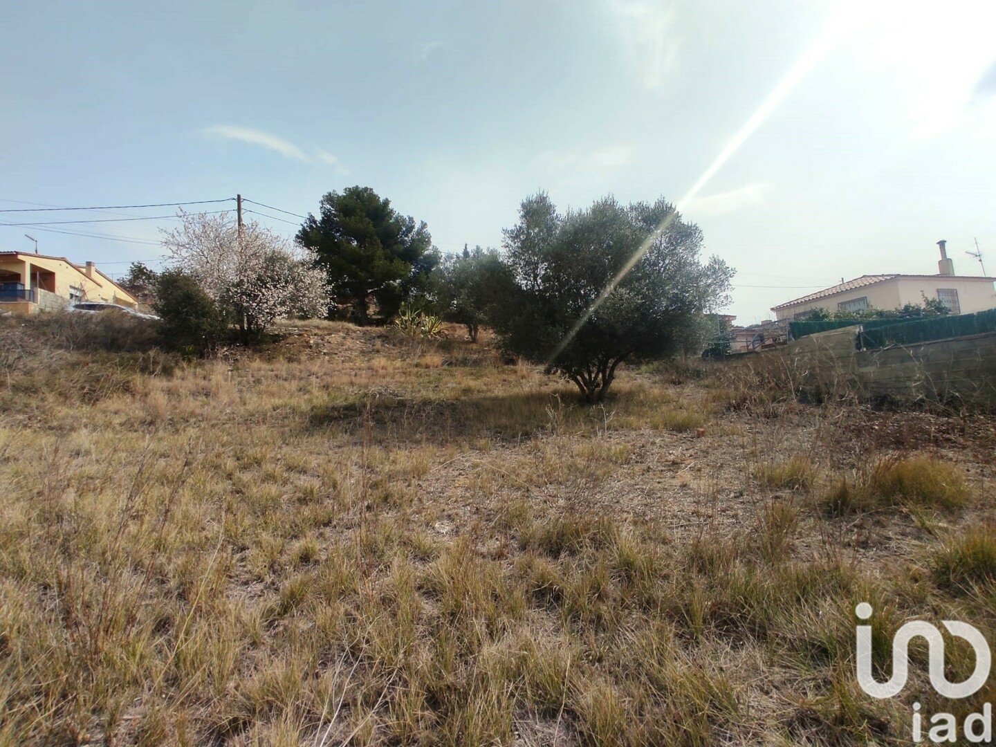 Tomt i La Bisbal Del Penedes, Tarragona, Spanien 530 kvm. Nr. 186177