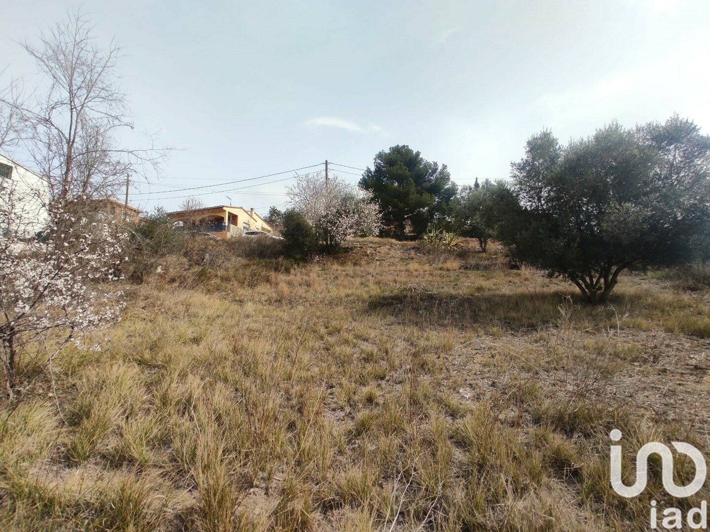 Tomt i La Bisbal Del Penedes, Tarragona, Spanien 530 kvm. Nr. 186177