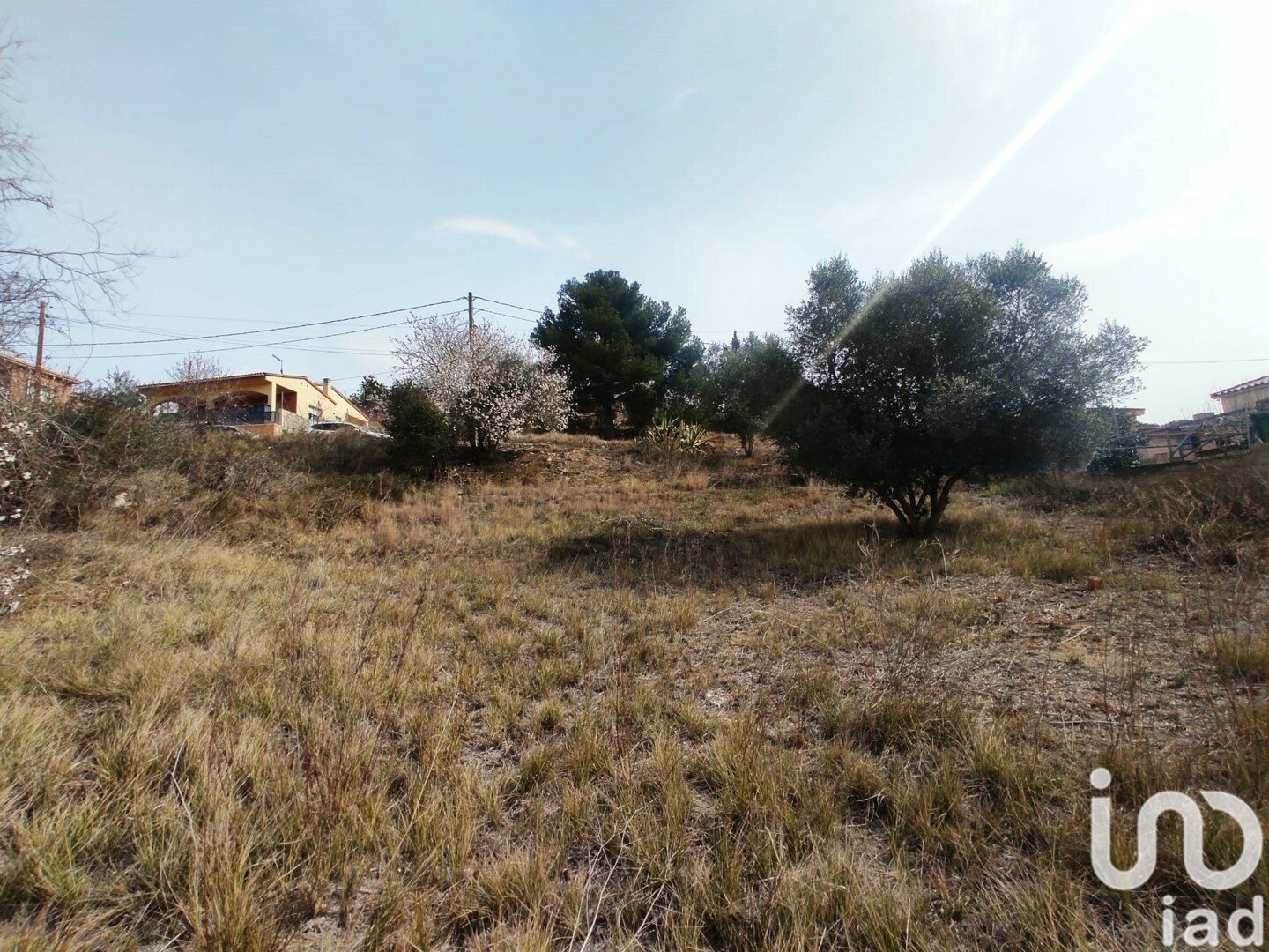 Tomt i La Bisbal Del Penedes, Tarragona, Spanien 530 kvm. Nr. 186177