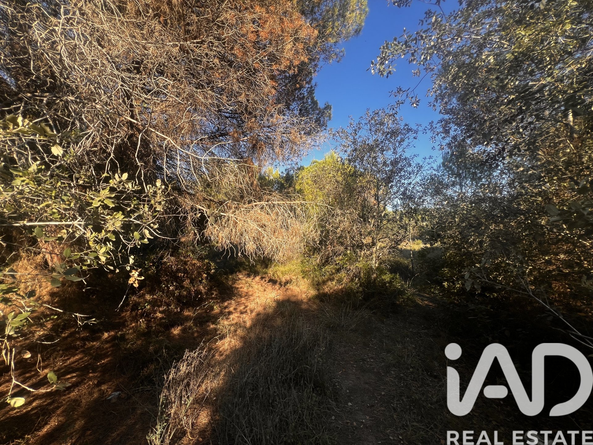 Land in Palamos, Girona, Spanien 2949 m2 Nr. 152378