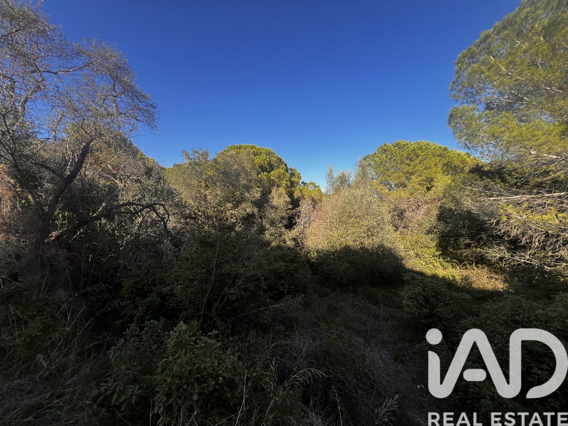 Land in Palamos, Girona, Spanien 2949 m2 Nr. 152378