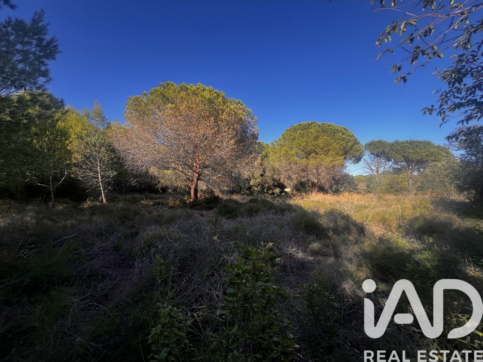Land in Palamos, Girona, Spanien 2949 m2 Nr. 152378