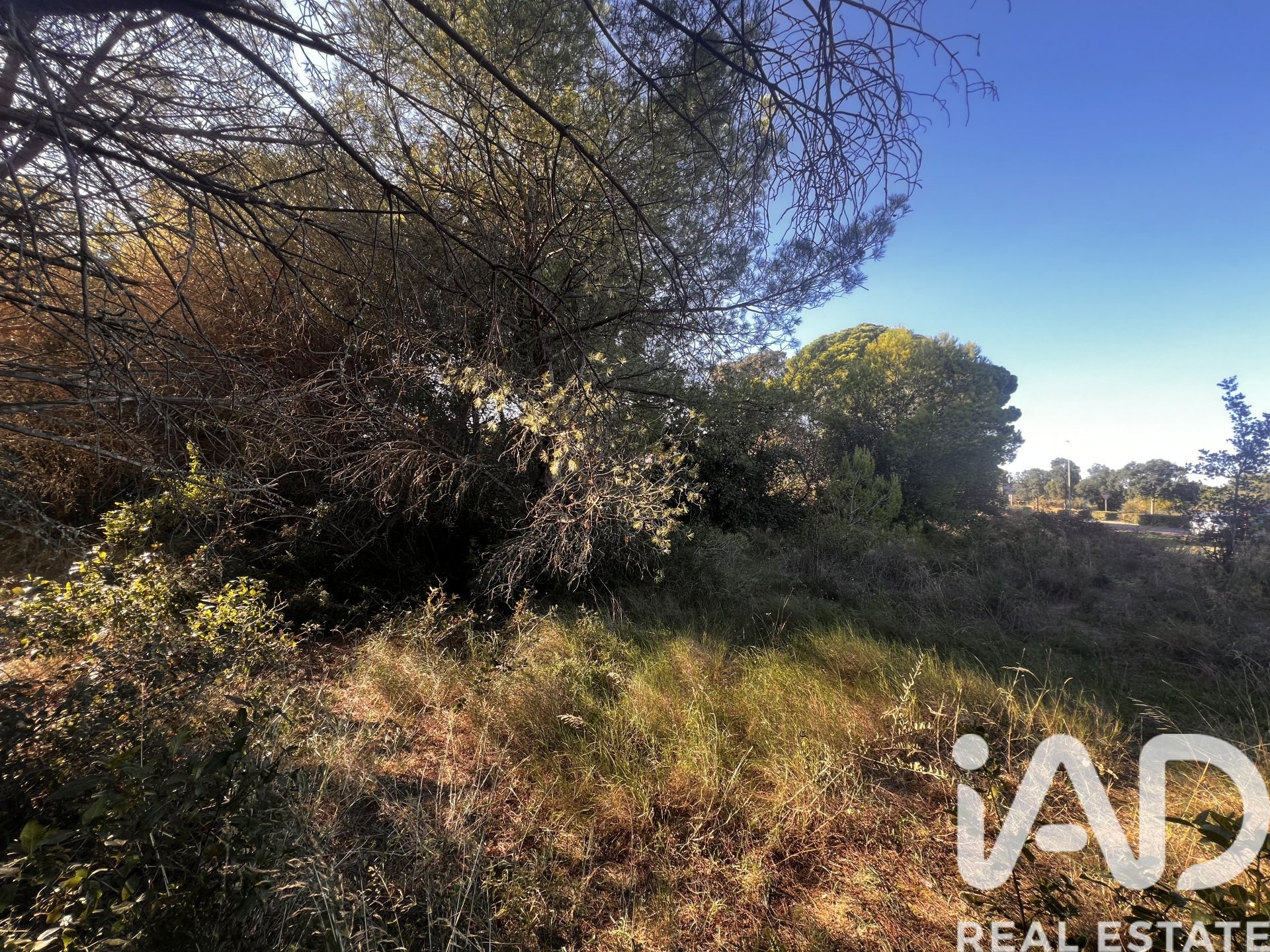 Land in Palamos, Girona, Spanien 2949 m2 Nr. 152378