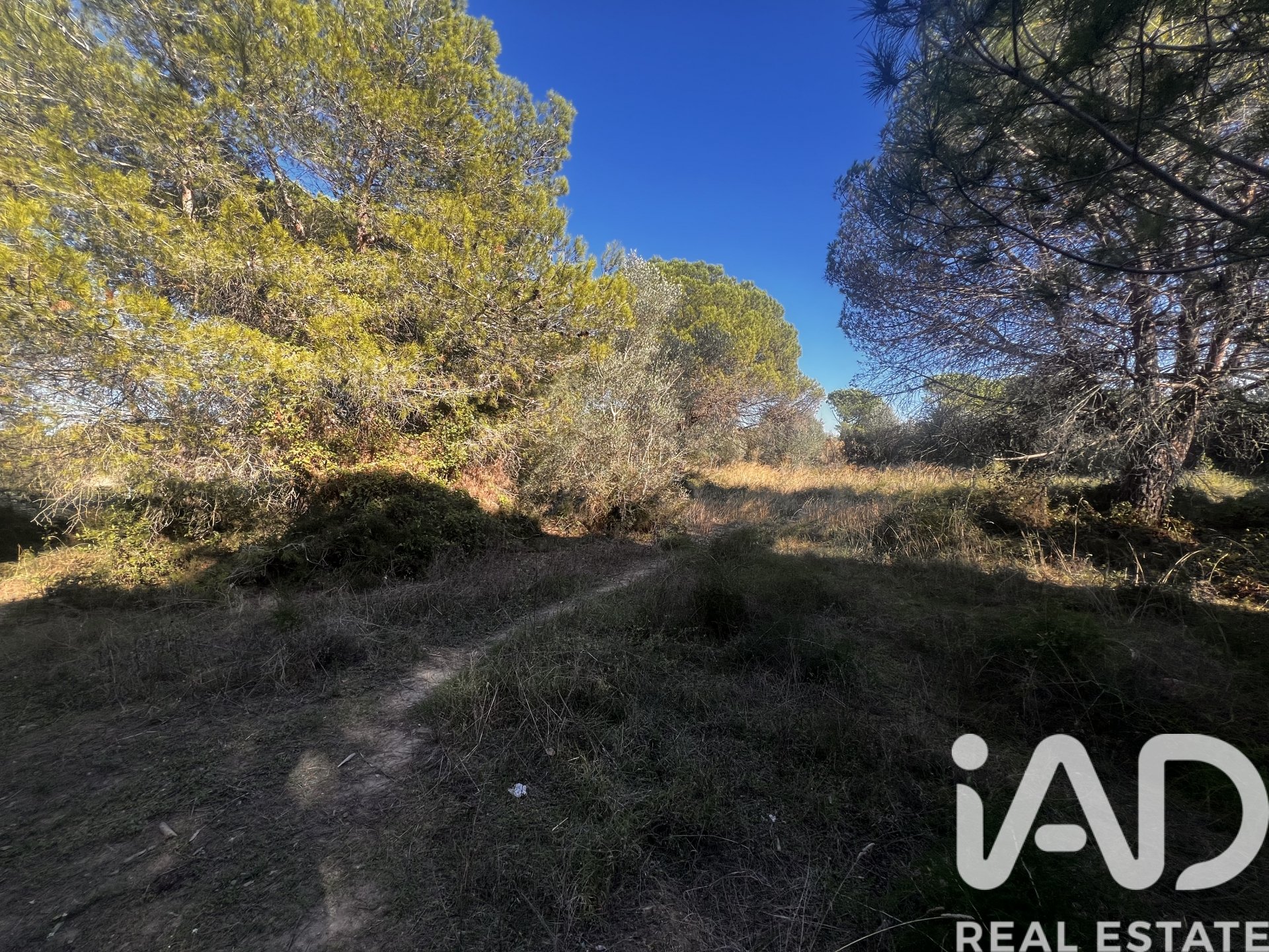 Land in Palamos, Girona, Spanien 2949 m2 Nr. 152378