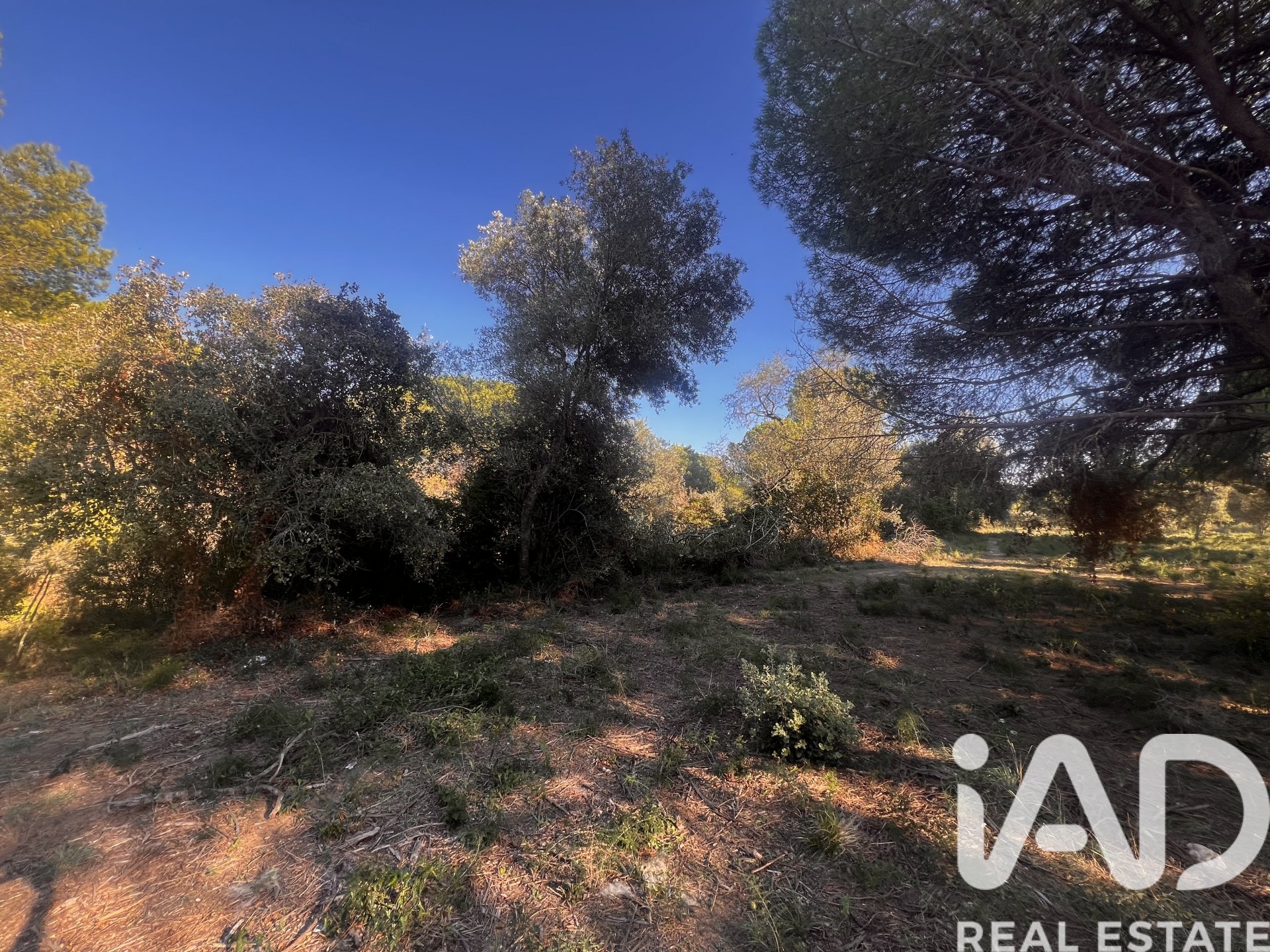 Land in Palamos, Girona, Spanien 2949 m2 Nr. 152378