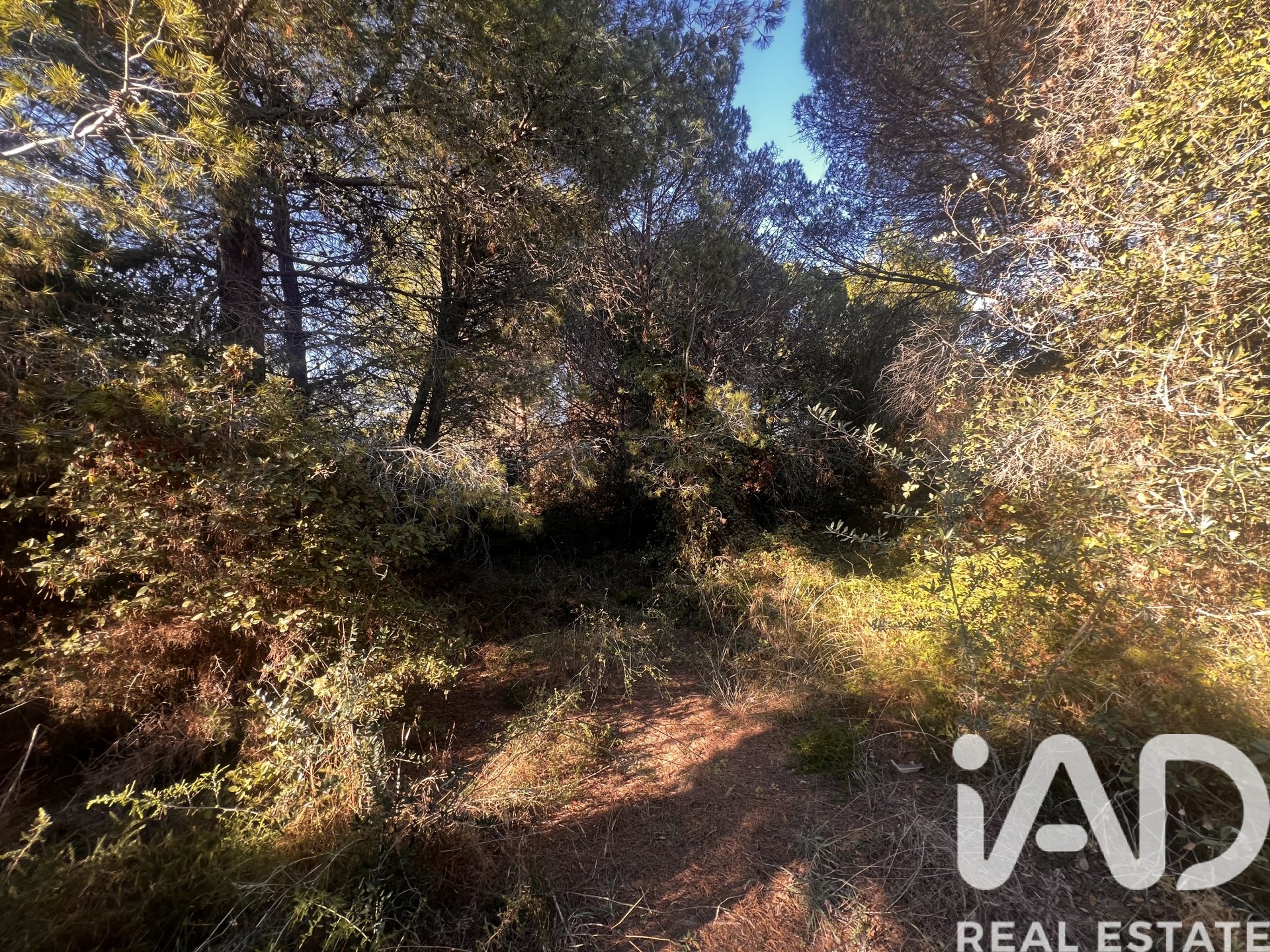 Land in Palamos, Girona, Spanien 2949 m2 Nr. 152378