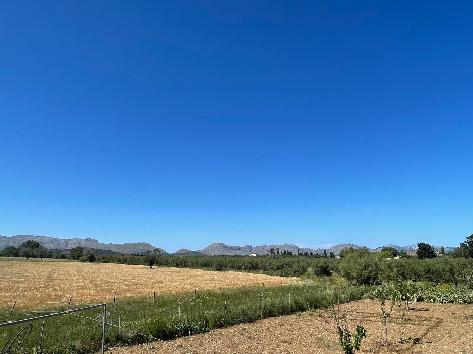 Land plot in Alcudia, Mallorca, Spain 35860 sq.m. No. 150117
