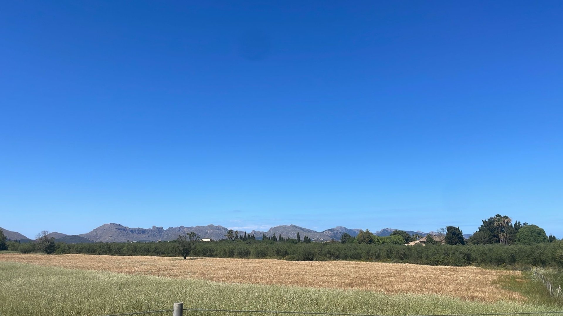 Land plot in Alcudia, Mallorca, Spain 35860 sq.m. No. 150117