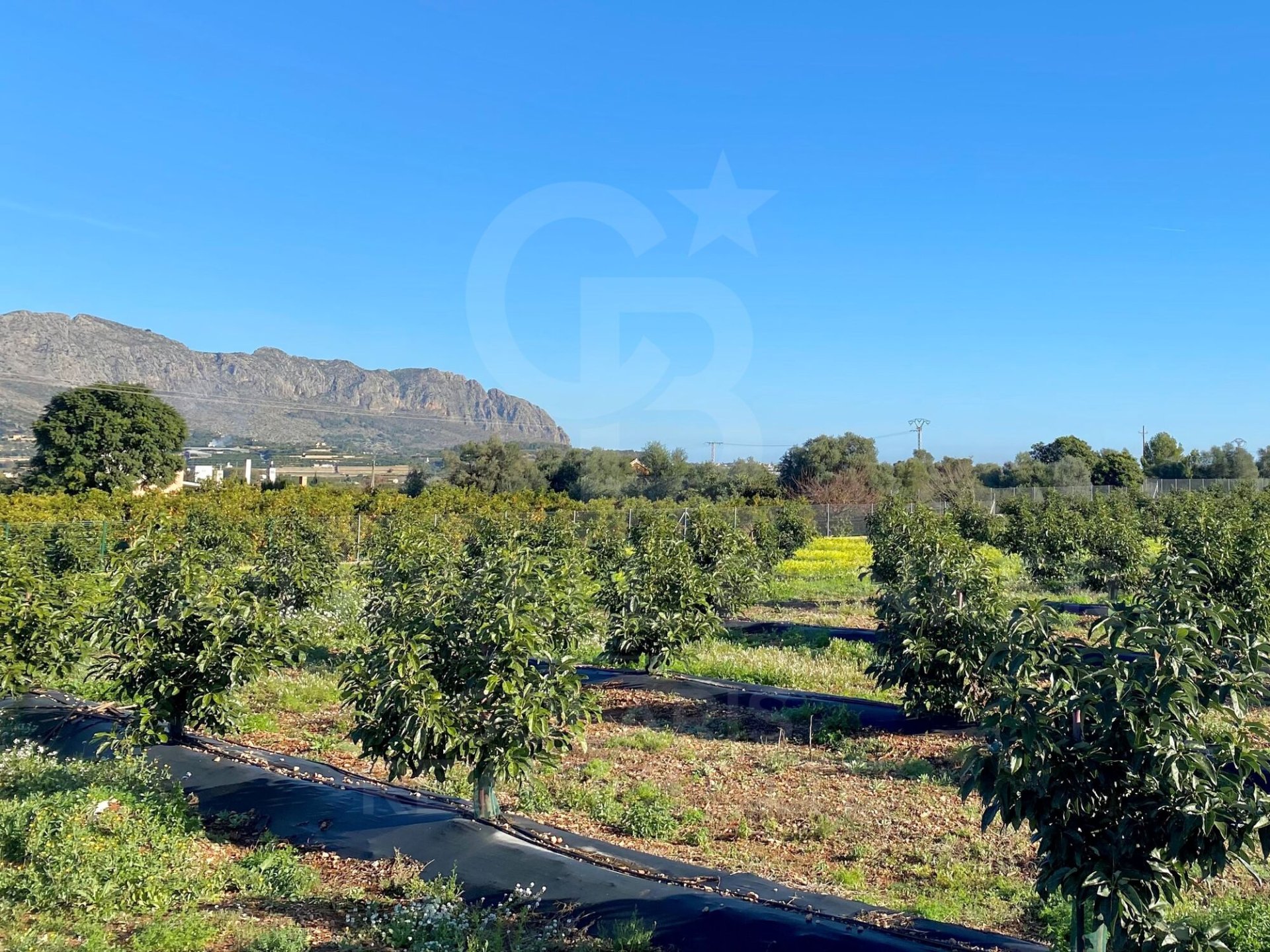 Villa Benidoleig, Alicante, Spānijā 5 istabas,  Nr. 157615