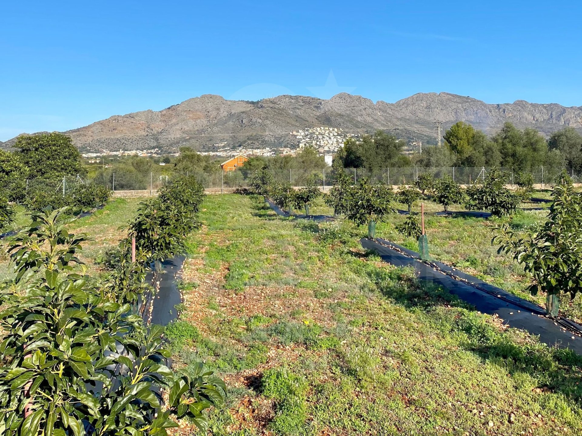Villa Benidoleig, Alicante, Spānijā 5 istabas,  Nr. 157615
