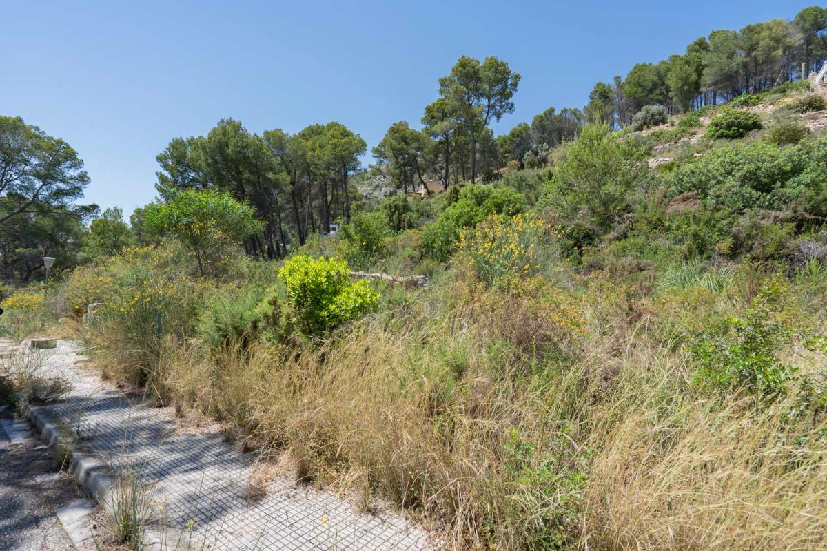 Villa in Alcalali, Alicante, Spanien 3 Schlafzimmer, 198 m2 Nr. 148936