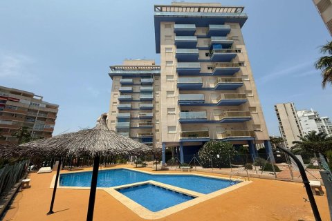Wohnung in Guardamar del Segura, Alicante, Spanien 3 Schlafzimmer, 71 m2 Nr. 148937