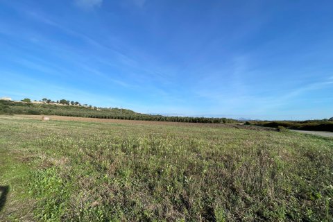 Tontti Muro, Mallorca, Espanja 15325 m2 No. 146301
