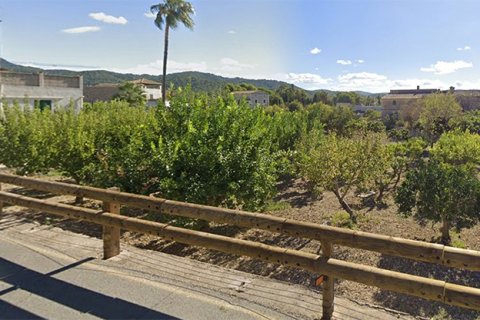Land plot in Es Capdella, Mallorca, Spain 226 sq.m. No. 143773