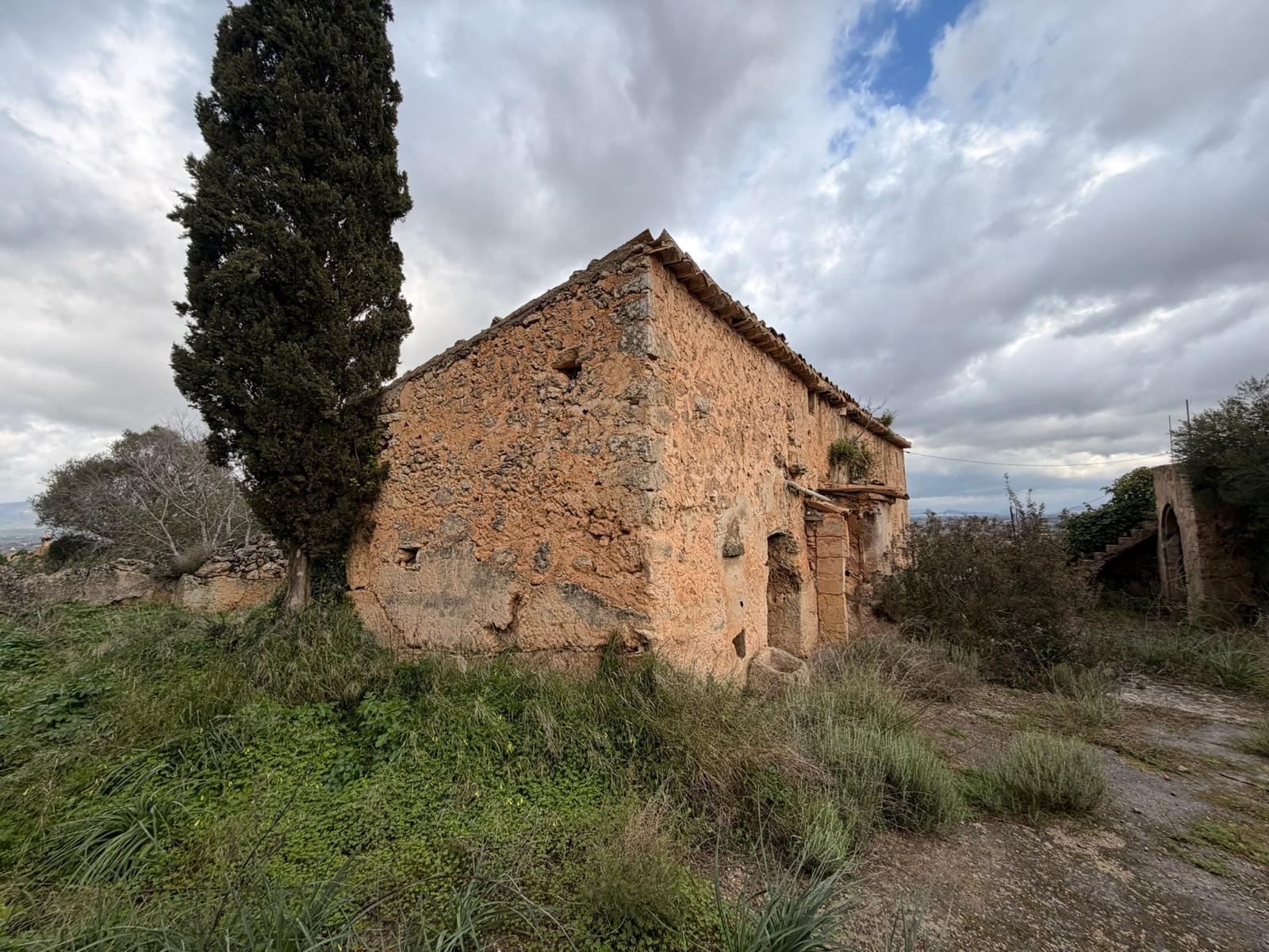 Finca in Santa Eugenia, Mallorca, Spain 3 bedrooms, 166 sq.m. No. 155201