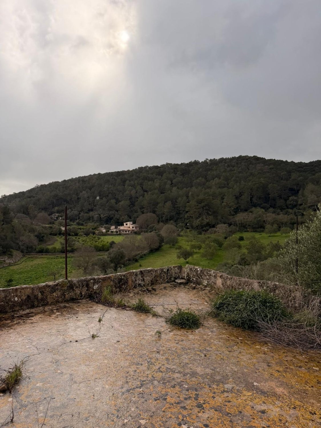 Finca in Santa Eugenia, Mallorca, Spain 3 bedrooms, 166 sq.m. No. 155201
