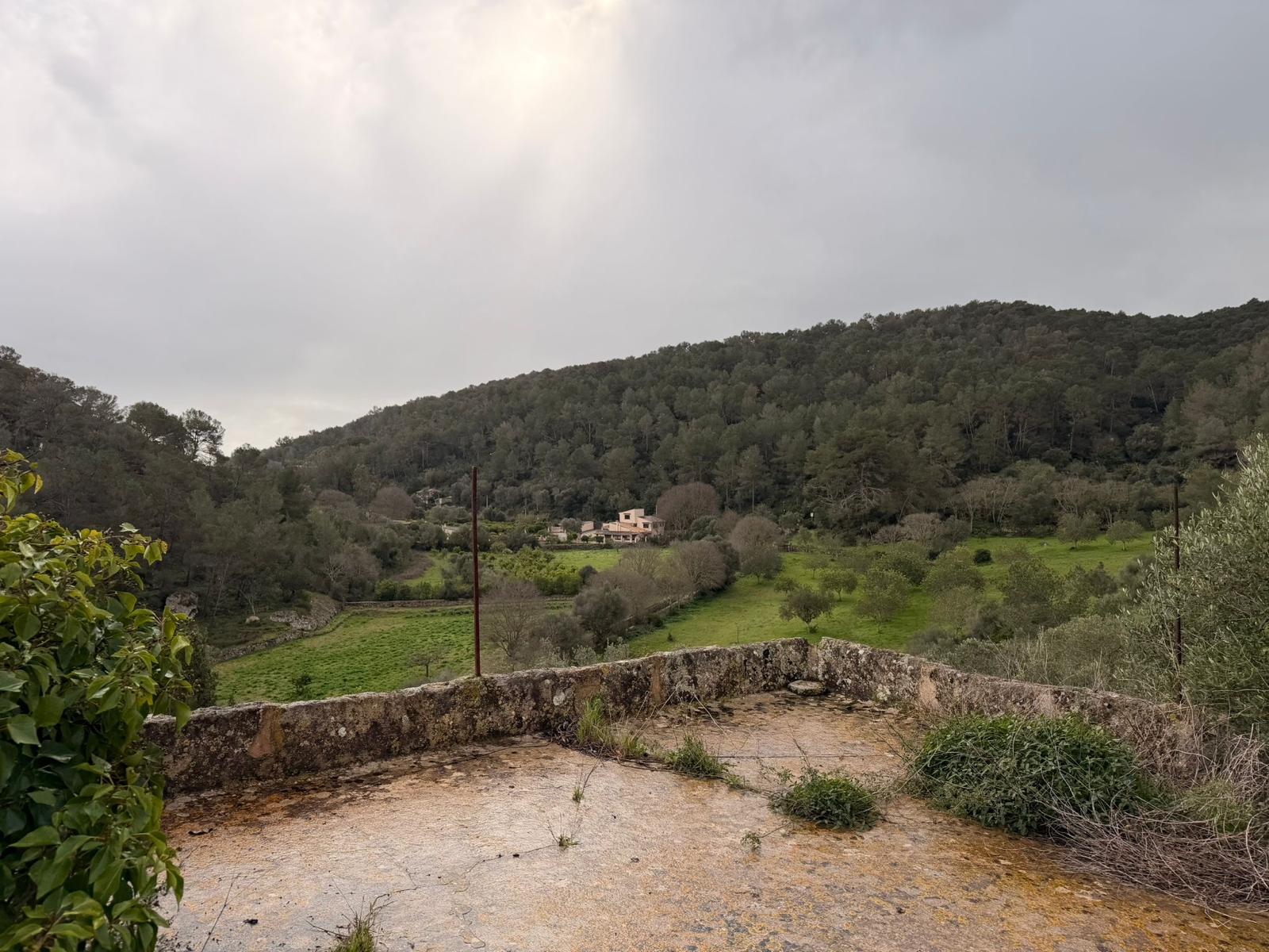Finca in Santa Eugenia, Mallorca, Spain 3 bedrooms, 166 sq.m. No. 155201