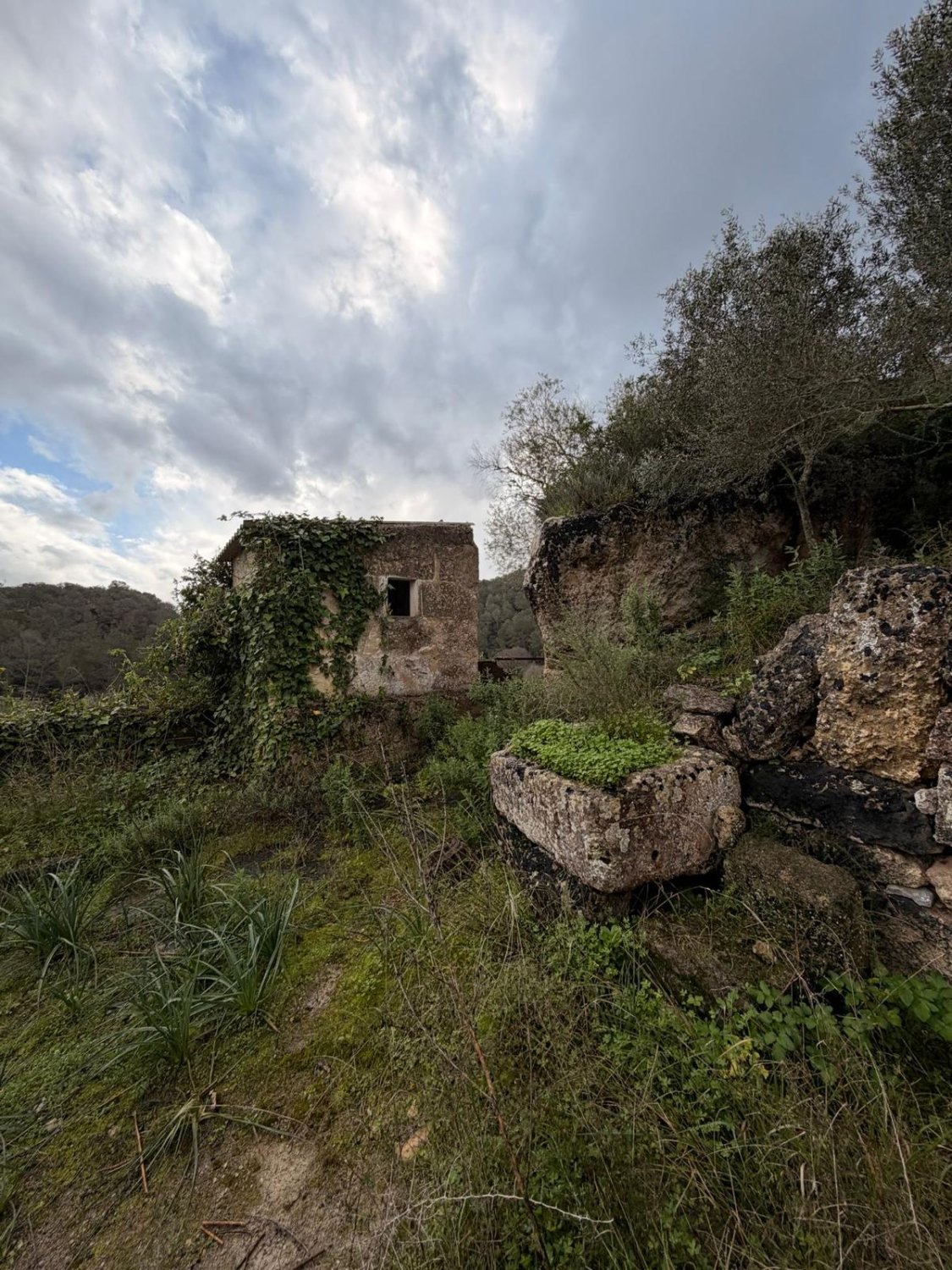 Finca in Santa Eugenia, Mallorca, Spain 3 bedrooms, 166 sq.m. No. 155201