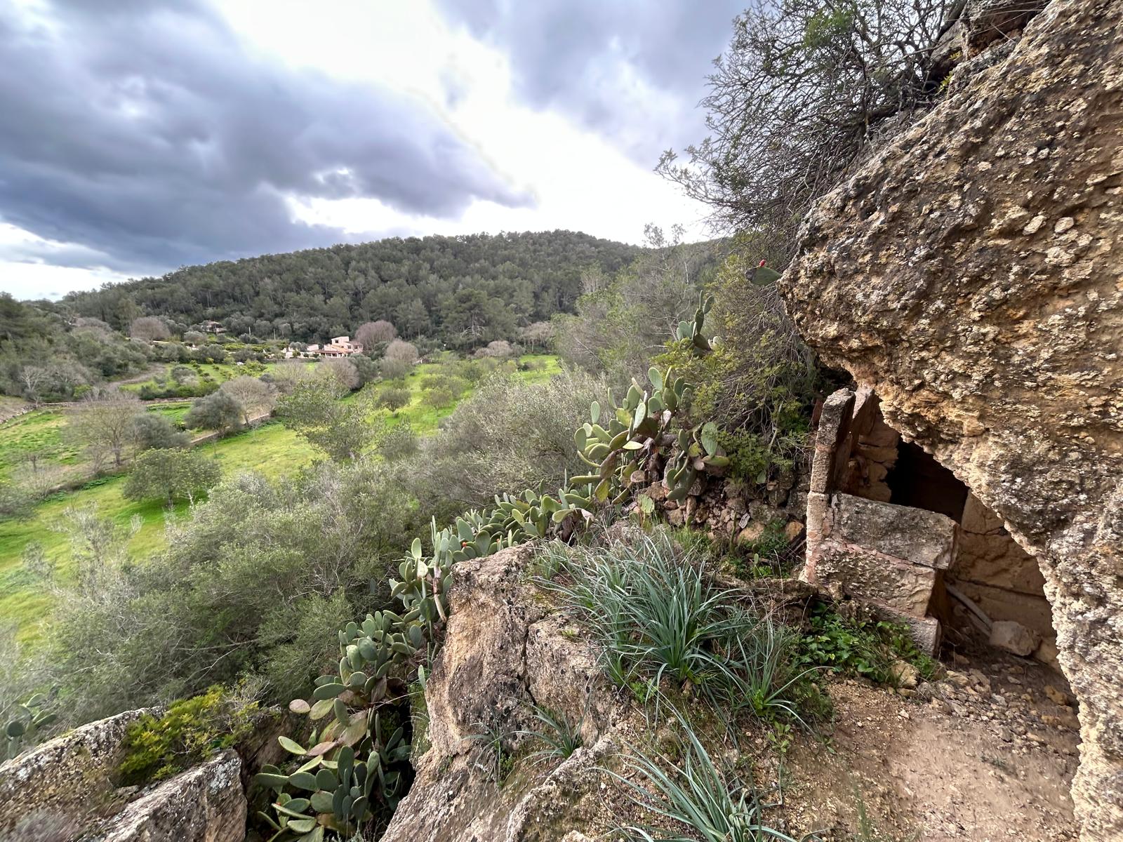 Finca in Santa Eugenia, Mallorca, Spain 3 bedrooms, 166 sq.m. No. 155201