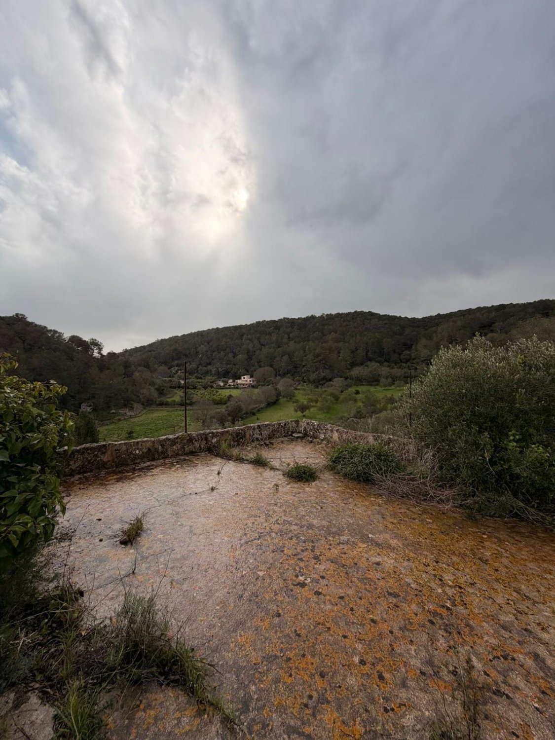 Finca in Santa Eugenia, Mallorca, Spain 3 bedrooms, 166 sq.m. No. 155201