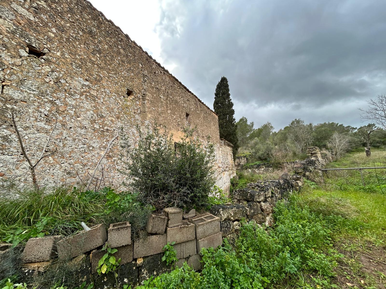 Finca in Santa Eugenia, Mallorca, Spain 3 bedrooms, 166 sq.m. No. 155201
