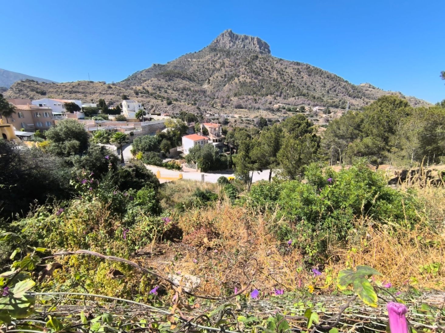Tomt i Calpe, Alicante, Spanien 1062 kvm. Nr. 183515