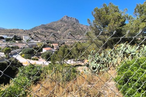 Land plot à Calpe, Alicante, Espagne 1186 m2 No. 183514