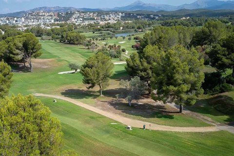 Land plot in Santa Ponsa, Mallorca, Spain No. 148161