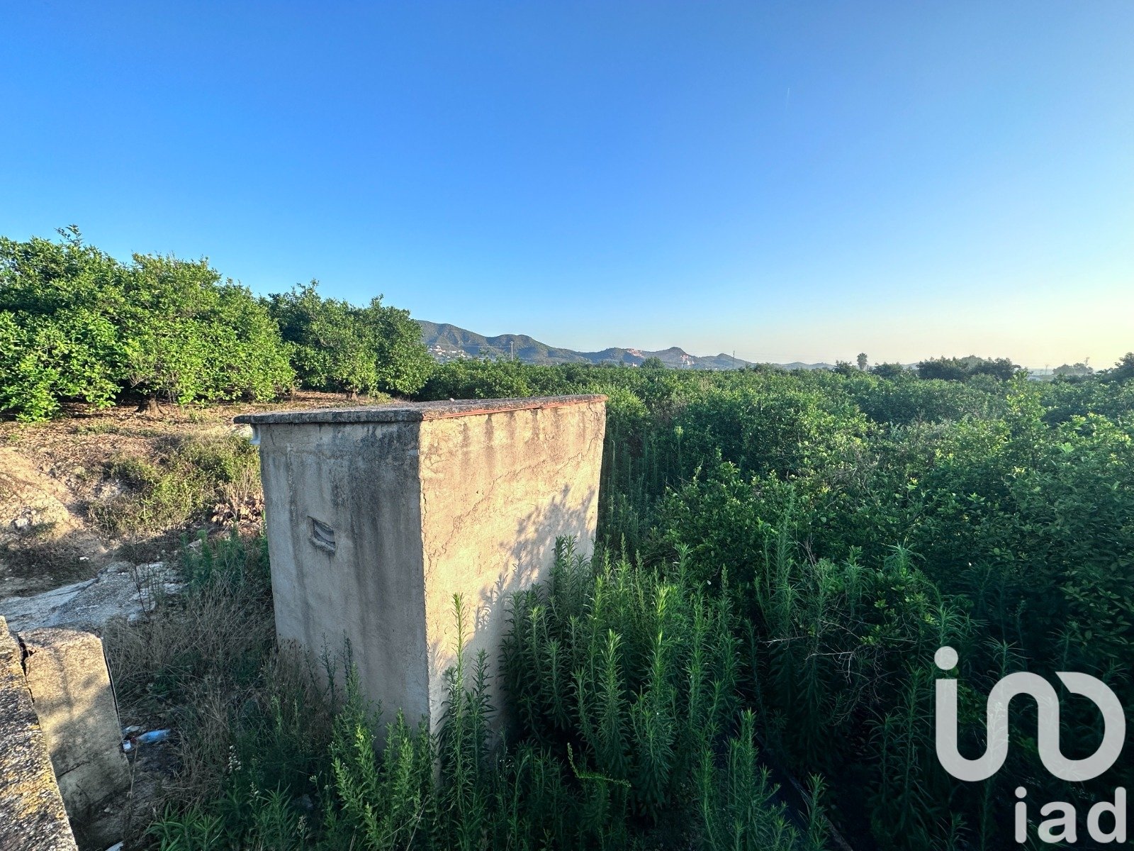 Gewerbeimmobilien in Pego, Alicante, Spanien Nr. 185714