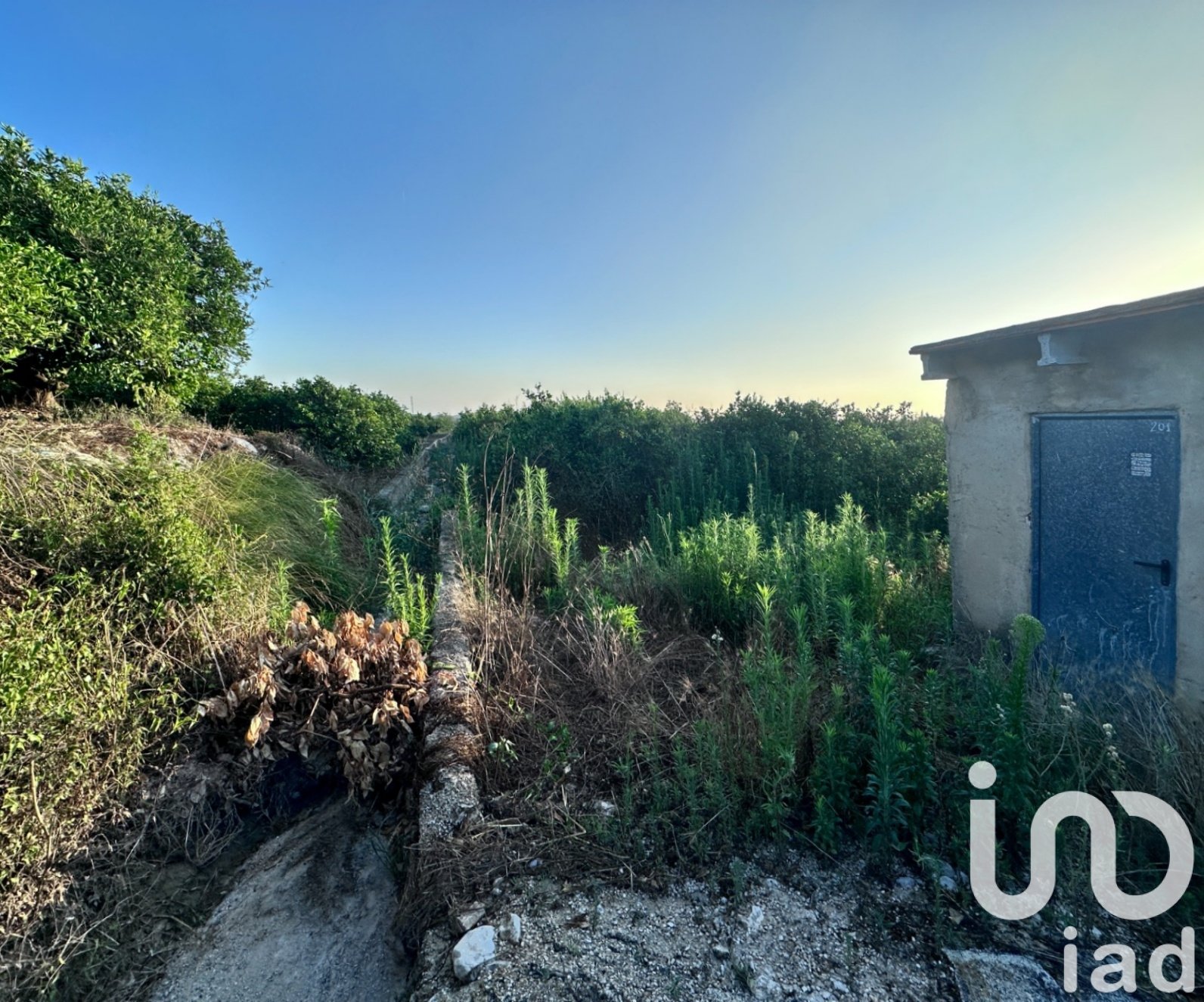 Gewerbeimmobilien in Pego, Alicante, Spanien Nr. 185714