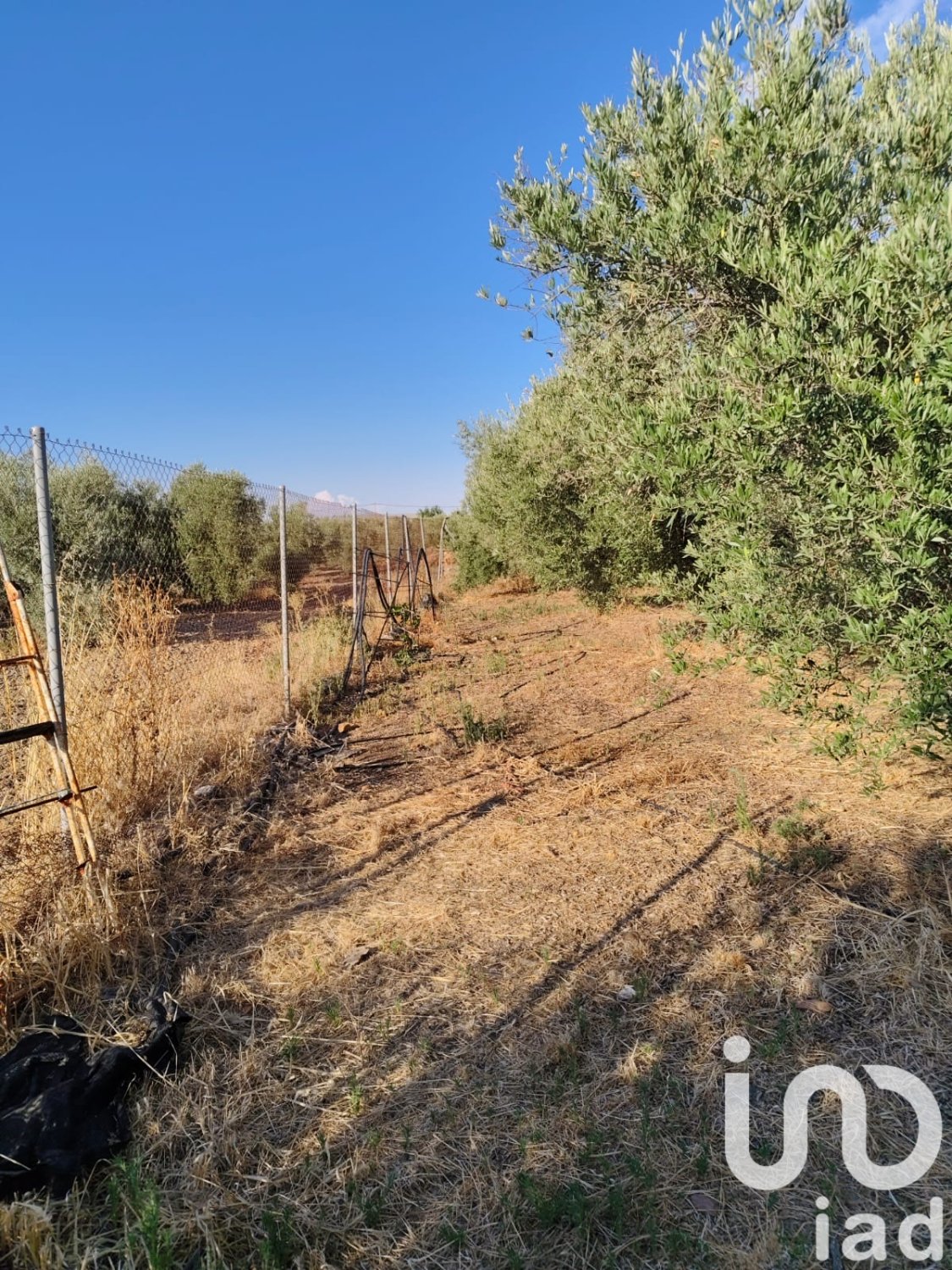 Land in Ecija, Seville, Spanien 4895 m2 Nr. 185710