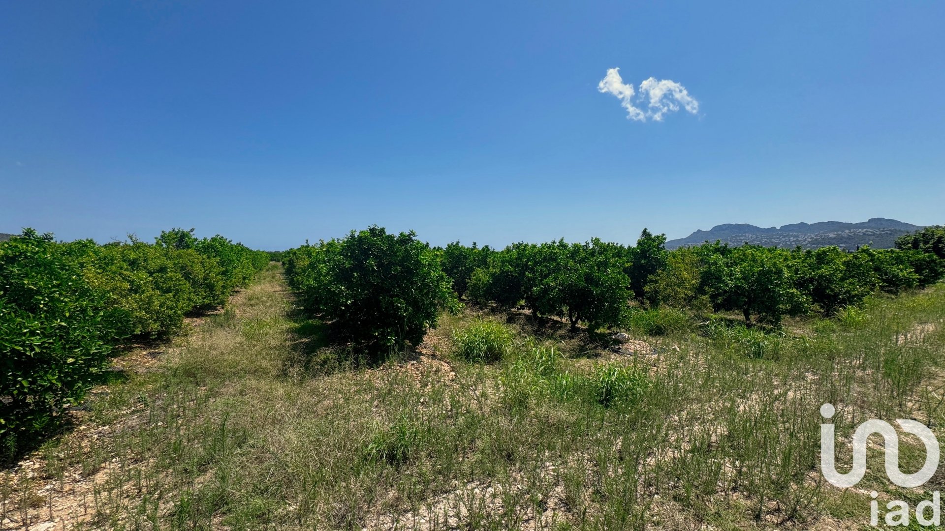 Parcela en Pego, Alicante, España 12671 m2 No. 185713