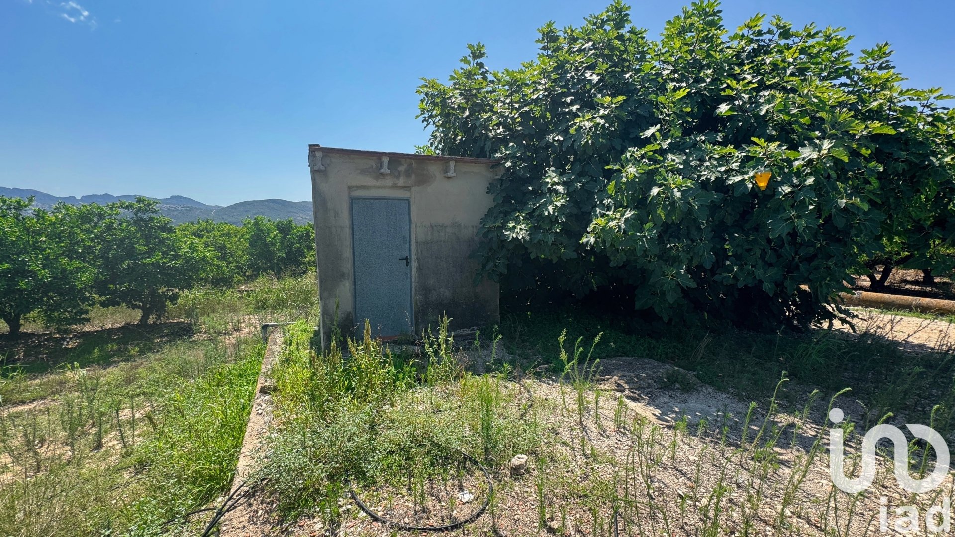 Parcela en Pego, Alicante, España 12671 m2 No. 185713