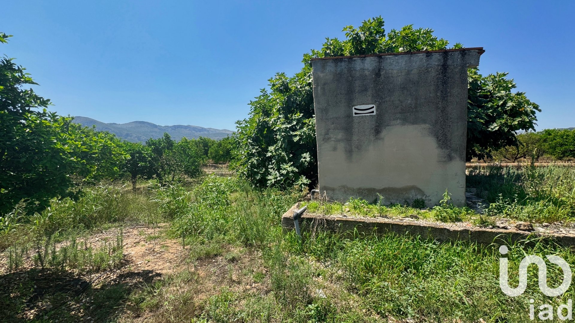 Parcela en Pego, Alicante, España 12671 m2 No. 185713