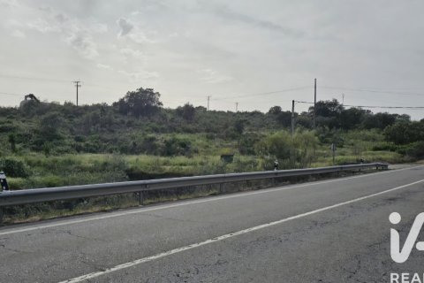 Land in Montehermoso, Caceres, Spanien 13441 m2 Nr. 184854