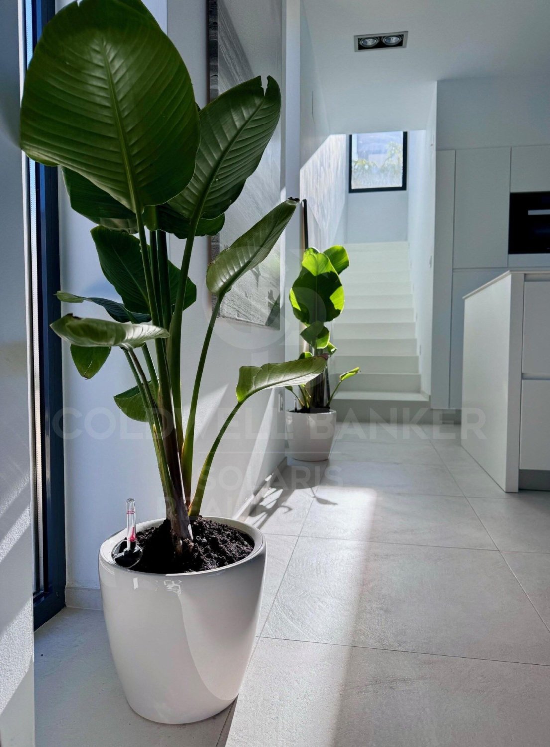 Villa in Calpe, Alicante, Spain 2 bedrooms, 200 sq.m. No. 157746