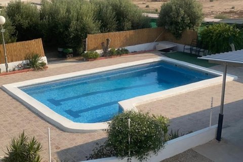 Talo Guardamar del Segura, Alicante, Espanja 4 makuuhuonetta, 311 m2 No. 155759