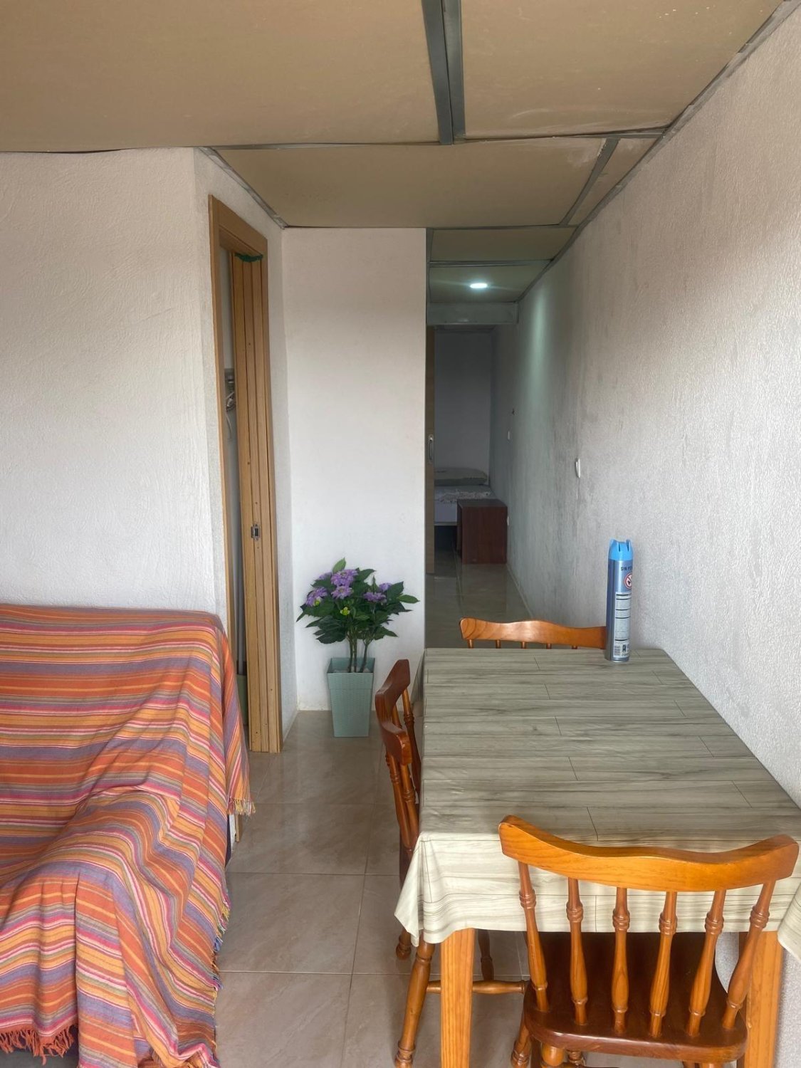 Talo Guardamar del Segura, Alicante, Espanja 4 makuuhuonetta, 311 m2 No. 155759