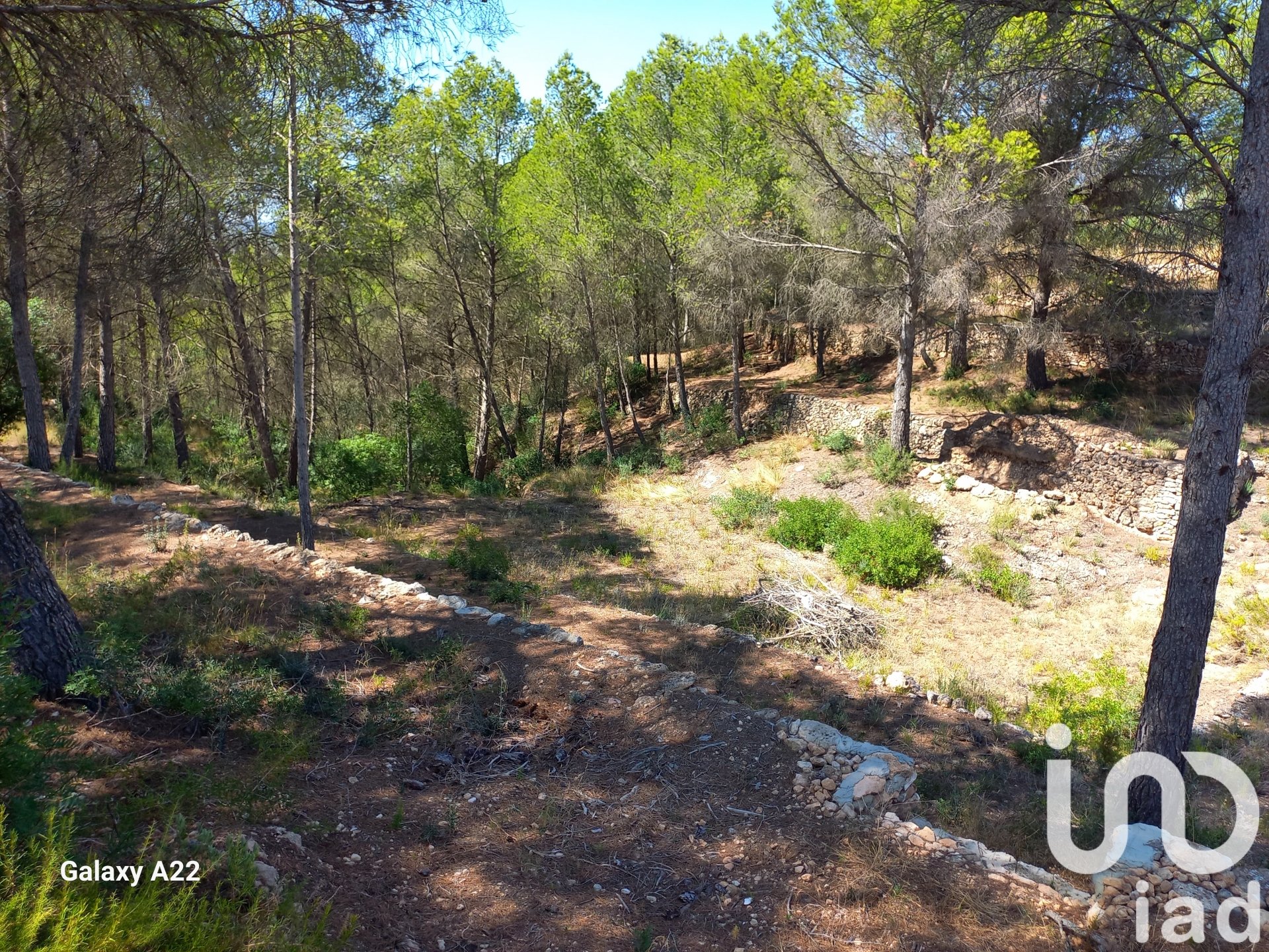 Land in Ginestar, Tarragona, Spanien 46791 m2 Nr. 185781