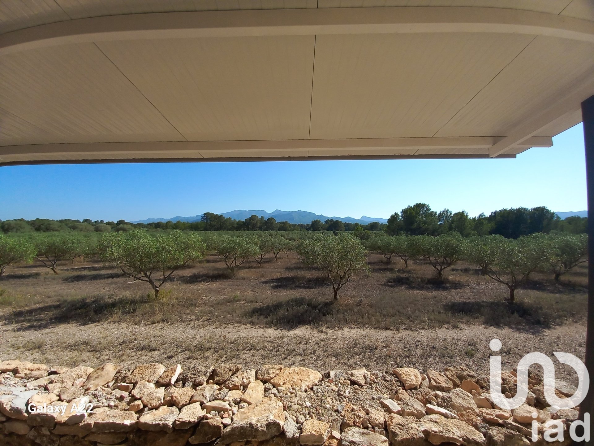 Land in Ginestar, Tarragona, Spanien 46791 m2 Nr. 185781