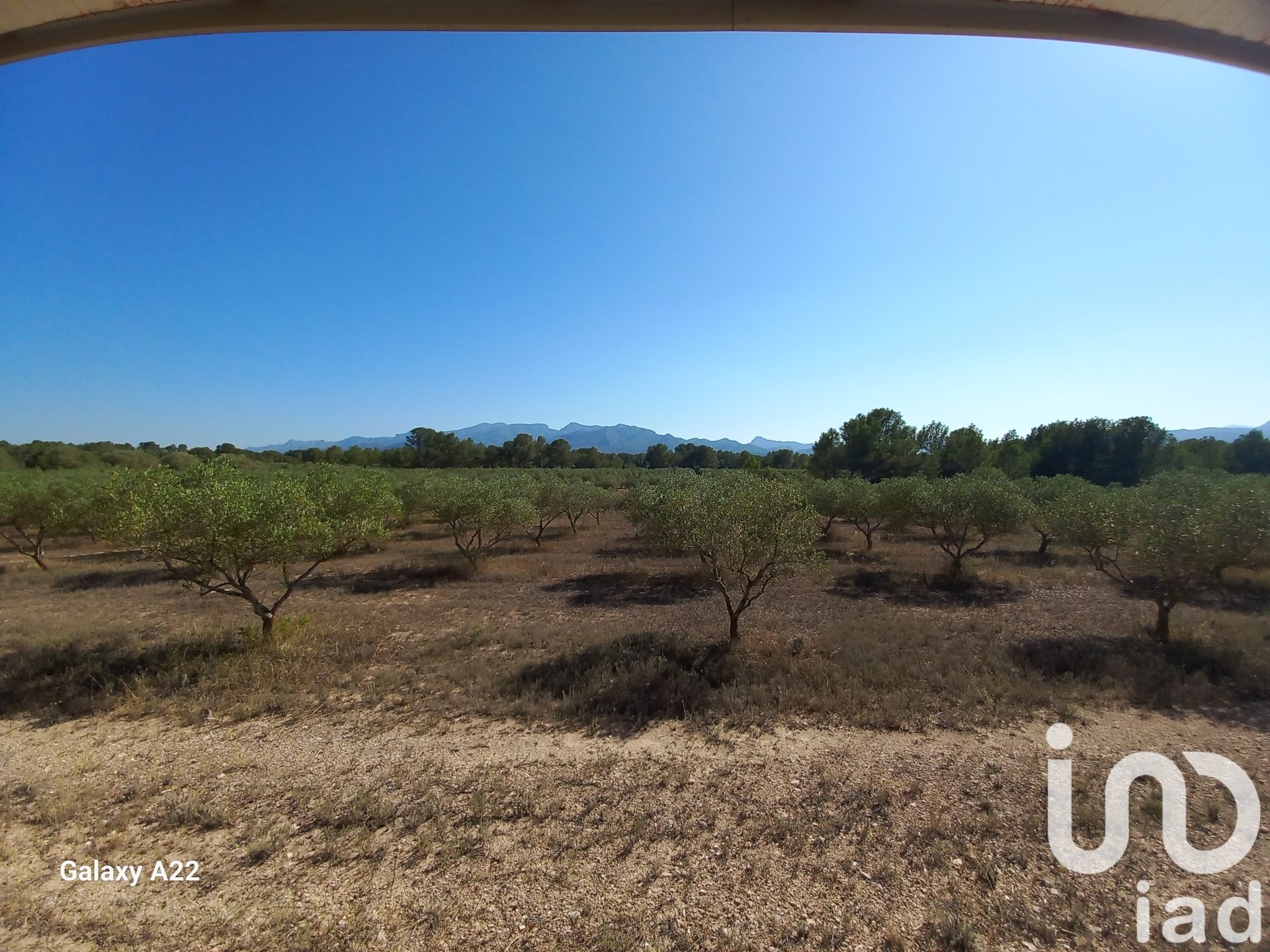 Land in Ginestar, Tarragona, Spanien 46791 m2 Nr. 185781
