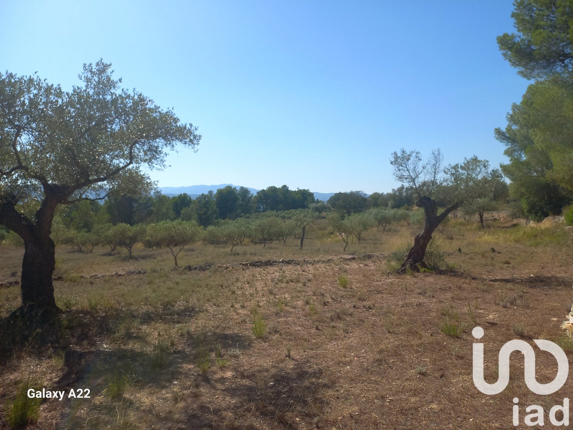 Land in Ginestar, Tarragona, Spanien 46791 m2 Nr. 185781