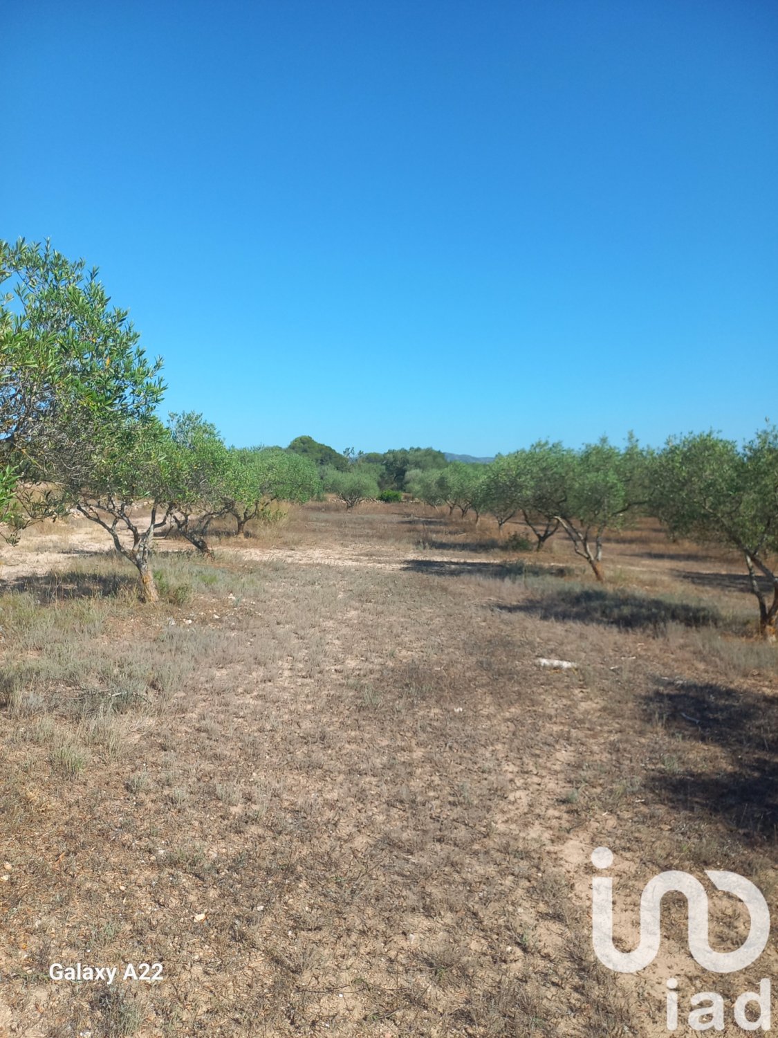 Land in Ginestar, Tarragona, Spanien 46791 m2 Nr. 185781