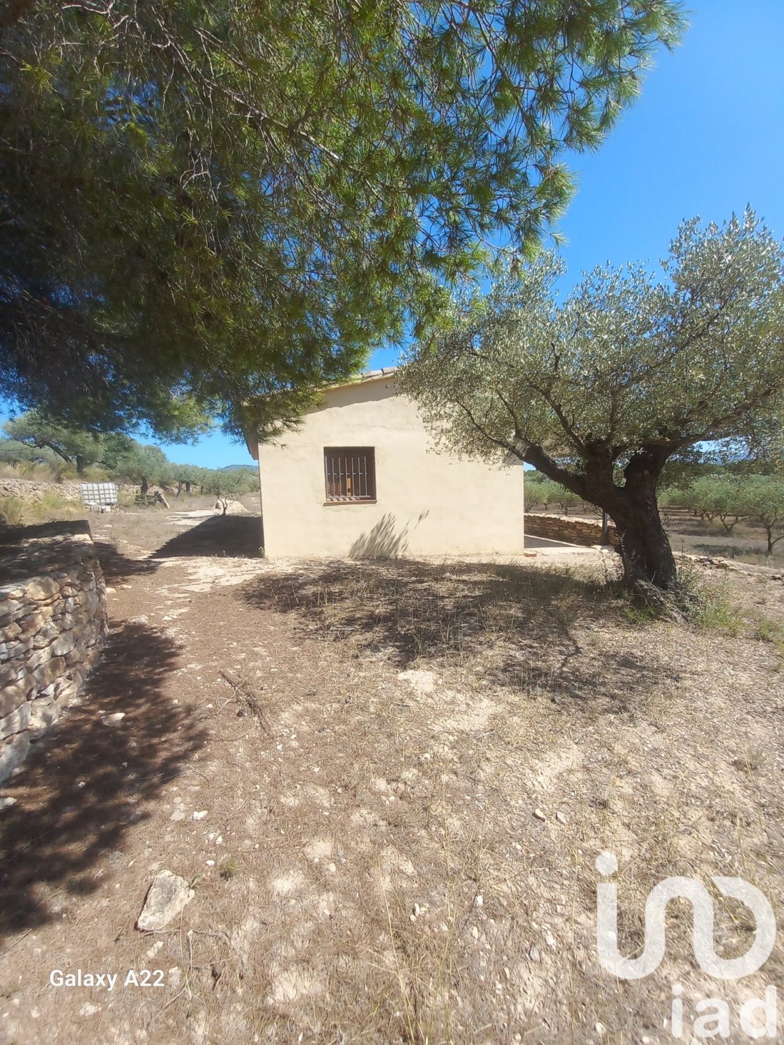 Land in Ginestar, Tarragona, Spanien 46791 m2 Nr. 185781