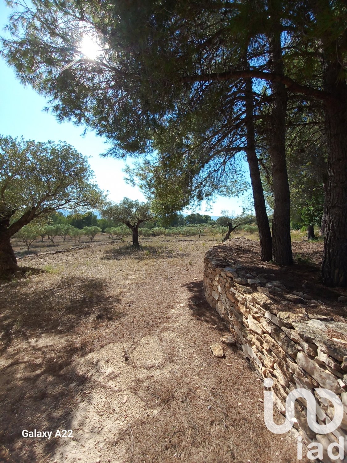 Land in Ginestar, Tarragona, Spanien 46791 m2 Nr. 185781