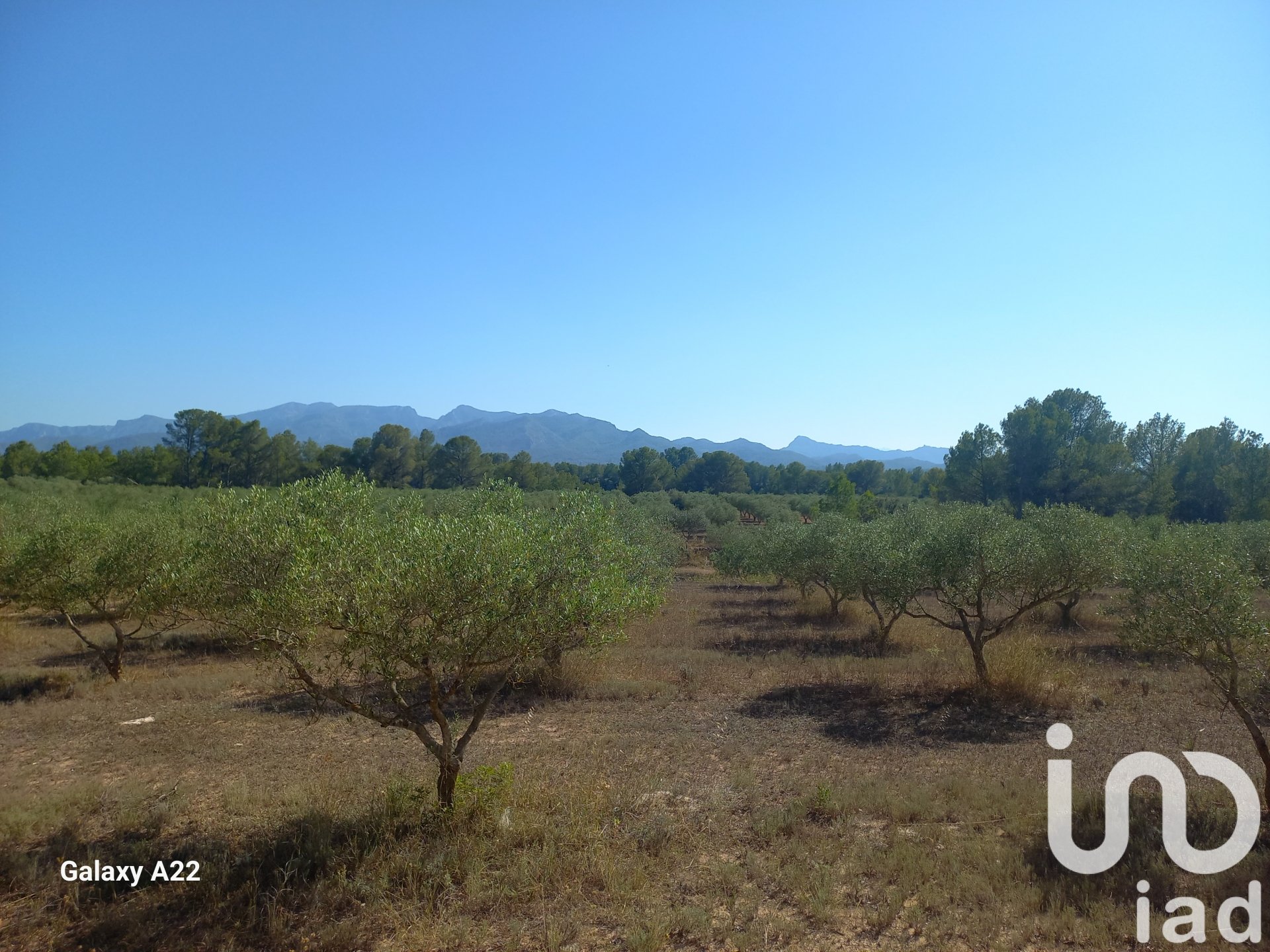 Land in Ginestar, Tarragona, Spanien 46791 m2 Nr. 185781