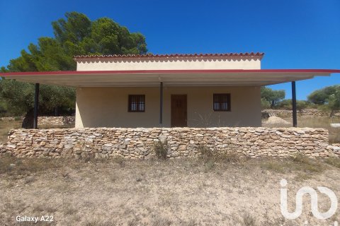 Zemes gabals Ginestar, Tarragona, Spānijā 46791 m2 Nr. 185781