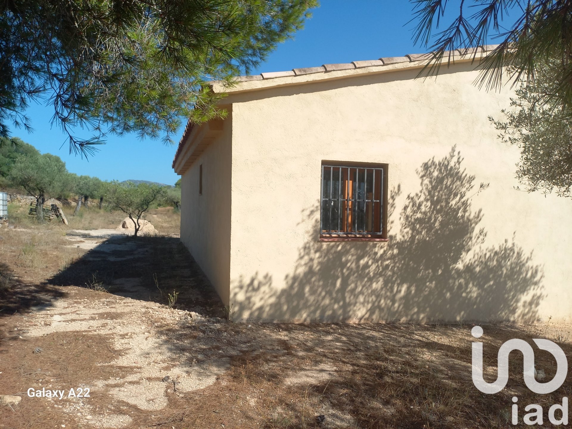 Land in Ginestar, Tarragona, Spanien 46791 m2 Nr. 185781